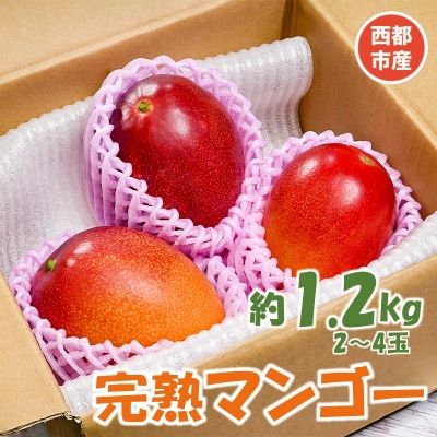 【約1.2kg】西都市産完熟マンゴー2～4玉[訳あり]【先行受付】さとふる限定[2966]