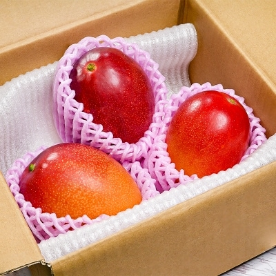 【約1.2kg】西都市産マンゴー2～4玉[訳あり]【先行受付】さとふる限定[2966]