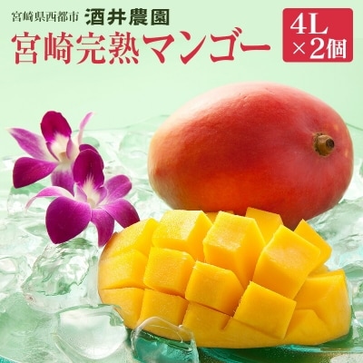 酒井農園【bigサイズ4L×2個】　西都産　宮崎完熟マンゴー[1763]
