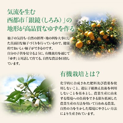 ふるさと納税限定　PREMIUM ゆずはっち 24本[1856]