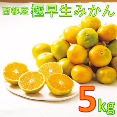 西都市産　極早生～早生みかん 5kg　【先行受付】[1865]