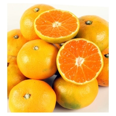 西都市産　極早生～早生みかん 5kg　【先行受付】[1865]