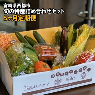 【先行受付・5ヶ月定期便】新鮮野菜詰め合わせセット[1855]