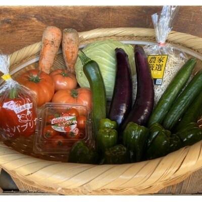 【先行受付・5ヶ月定期便】新鮮野菜詰め合わせセット[1855]