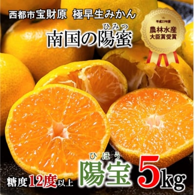 極早生みかん「南国の陽蜜・陽宝」5kg　農林水産大臣賞受賞【先行受付】[1869]