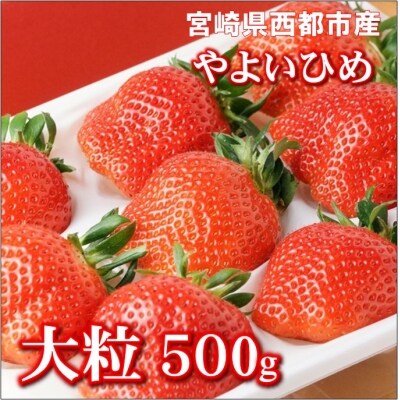 先行受付 厳選大粒 約500g やよいひめ 苺大野屋 1872 お礼品詳細 ふるさと納税なら さとふる 先行受付 厳選大粒 約500g やよいひめ 苺大野屋 1872 お礼品詳細 ふるさと納税なら さとふる