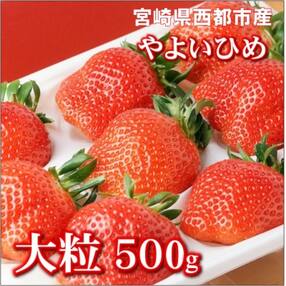 宮崎県西都市 果物 フルーツのお礼品 返礼品一覧 ふるさと納税サイト さとふる