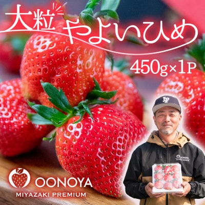 【順次発送中】厳選大粒高級いちご「やよいひめ」1パック(約450g)苺大野屋[2896]