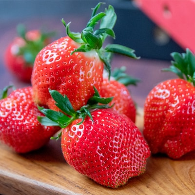 【順次発送中】厳選大粒高級いちご「やよいひめ」1パック(約450g)苺大野屋[2896]