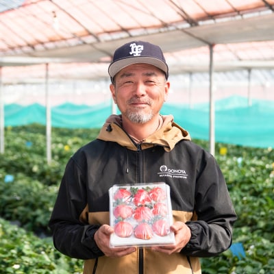 【順次発送中】厳選大粒高級いちご「やよいひめ」1パック(約450g)苺大野屋[2896]