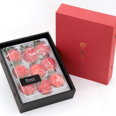 【順次発送中】厳選大粒高級いちご「やよいひめ」1パック(約450g)苺大野屋[2896]