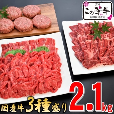国産この華牛【計2.1kg】3種盛り(ロース焼肉・ハンバーグ・切落し)[1874]