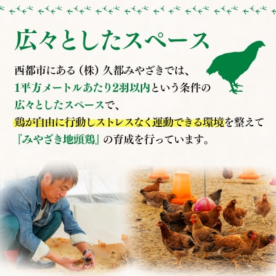 みやざき地頭鶏(じとっこ)鍋セット(地鶏鍋セット/鶏もも肉/むね肉/つくね/スープ付き)[3332]