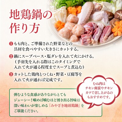 みやざき地頭鶏(じとっこ)鍋セット(地鶏鍋セット/鶏もも肉/むね肉/つくね/スープ付き)[1225]