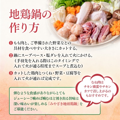 みやざき地頭鶏(じとっこ)鍋セット(地鶏鍋セット/鶏もも肉/むね肉/つくね/スープ付き)[1225]