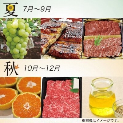 【季節の定期便】西都まるごと堪能セット(令和4年12ヶ月定期便16品)　シルバーコース[1383]