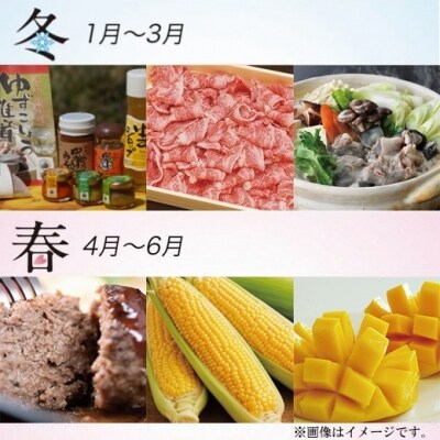 【季節の定期便】西都まるごと堪能セット(令和4年12ヶ月定期便18品)　ゴールドコース[1384]