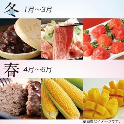 【季節の定期便】西都まるごと堪能セット(令和4年12ヶ月定期便19品)　プラチナコース[1385] 