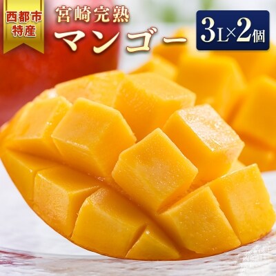 西都市特産品　宮崎県完熟マンゴー3L×2個　先行受付[1628] | ふるさと納税のお礼品