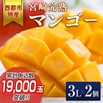 西都市特産品　宮崎県完熟マンゴー3L×2個　先行受付[3314]