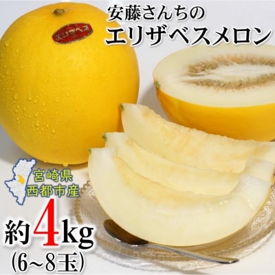 【先行受付】安藤さんちのエリザベスメロン約4kg[1898]