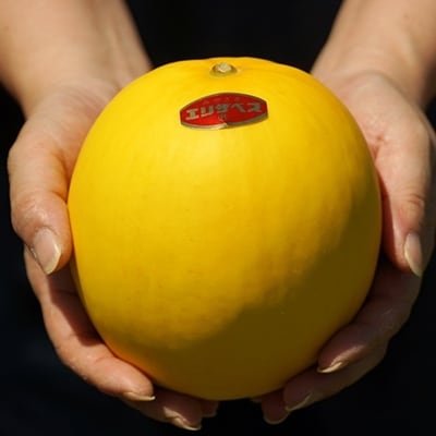 【先行受付】安藤さんちのエリザベスメロン約4kg[1898]