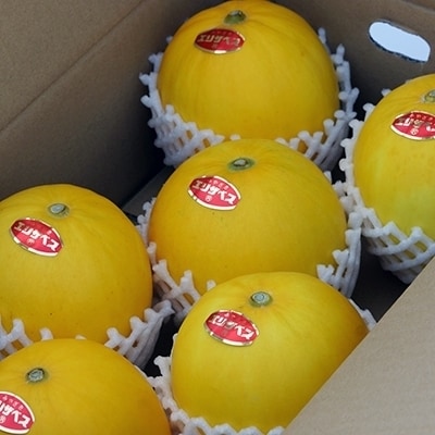 【先行受付】安藤さんちのエリザベスメロン約4kg[1898]