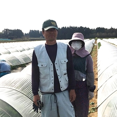 【先行受付】安藤さんちのエリザベスメロン約4kg[1898]