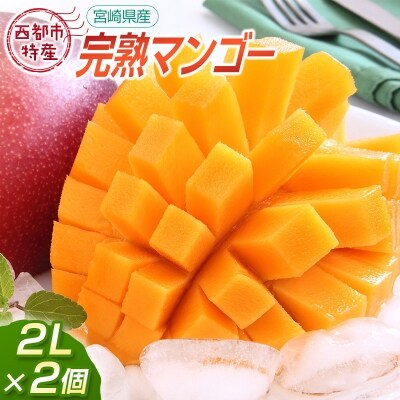 西都市特産品　宮崎県完熟マンゴー2L×2個【先行受付】[1904] | ふるさと納税のお礼品
