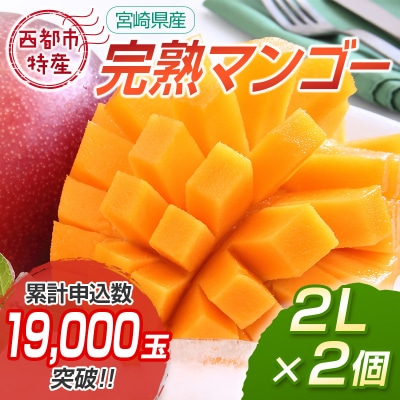 宮崎県完熟マンゴー2玉計約700g(2L×2個)西都市特産品【先行受付】[1904]