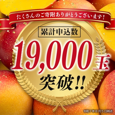 宮崎県完熟マンゴー2玉計約700g(2L×2個)西都市特産品【先行受付】[1904]