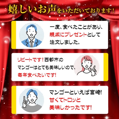 宮崎県完熟マンゴー2玉計約700g(2L×2個)西都市特産品【先行受付】[1904]