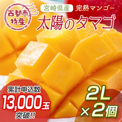 西都市特産品 太陽のタマゴ2L×2個  宮崎県産完熟マンゴー【先行受付】[1905]