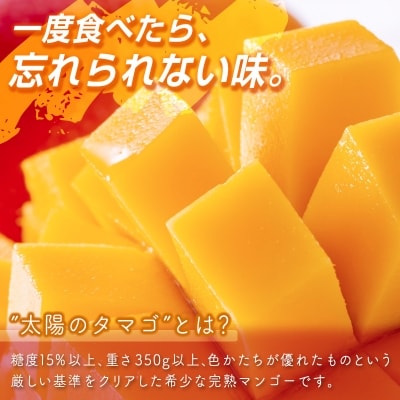 西都市特産品 太陽のタマゴ2L×2個  宮崎県産完熟マンゴー【先行受付】[1905]