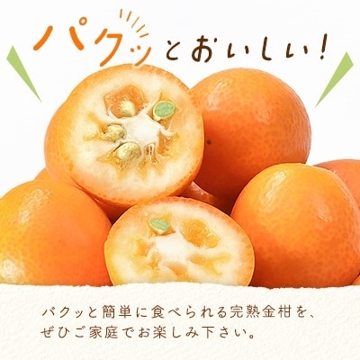 宮崎県西都市産完熟金柑　3kg(3L～L)西都市特産品【先行受付】[1924]
