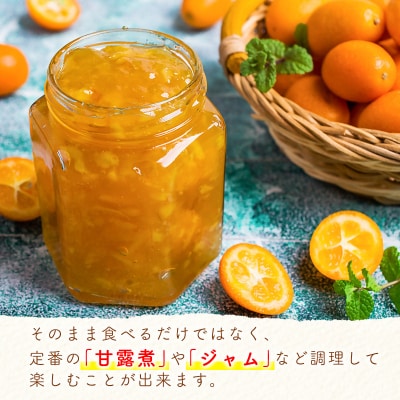 宮崎県西都市産完熟金柑　3kg(3L～L)西都市特産品【先行受付】[1924]
