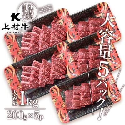 【1kg】上村牛食べ比べ焼肉 カルビ&モモ200g×5パック宮崎県産牛肉[2618]