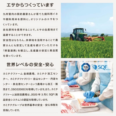 【1kg】上村牛食べ比べ焼肉 カルビ&モモ200g×5パック宮崎県産牛肉[2618]