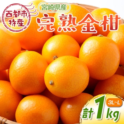 宮崎県西都市産完熟金柑1kg(3L～L)西都市特産品【先行受付】[1923] 