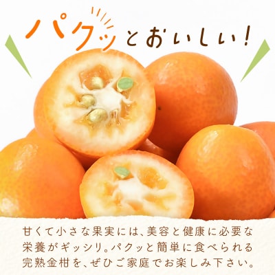 宮崎県西都市産完熟金柑1kg(3L～L)西都市特産品【先行受付】[1923] 