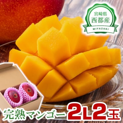 【先行受付】『2L×2玉』西都市産完熟マンゴー2玉[2641]