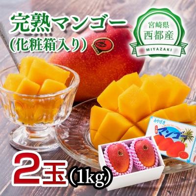 計1kg　西都市産完熟マンゴー2玉(化粧箱入り)【先行受付】[1897]