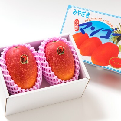 計1kg　西都市産完熟マンゴー2玉(化粧箱入り)【先行受付】[1897]