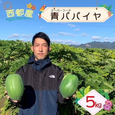 宮崎県西都市産 青パパイヤ 約5kg(4～7玉)【先行受付】[1926]