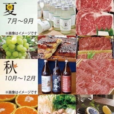 【季節の定期便】西都まるごと堪能セット(令和4年12ヶ月定期便54品プレミアムコース [1751] 