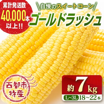 【約7kg・18～22本】スイートコーン『ゴールドラッシュ』先行受付[1428] 