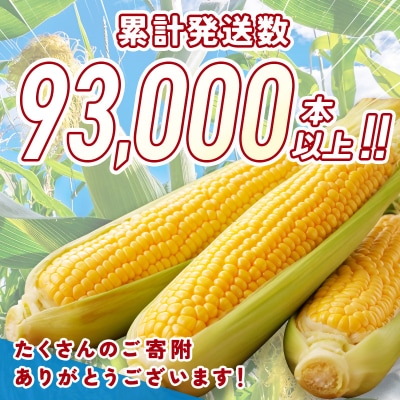 【約7kg】スイートコーン『ゴールドラッシュ』先行受付[1428] 