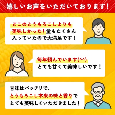 【約7kg・18～22本】スイートコーン『ゴールドラッシュ』先行受付[1428] 