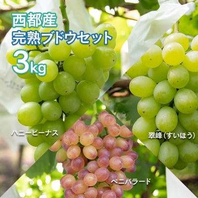 【先行受付・数量限定】西都産完熟ぶどう約3kg[1975]