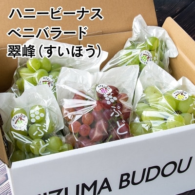 【先行受付・数量限定】西都産完熟ぶどう約3kg[1975]